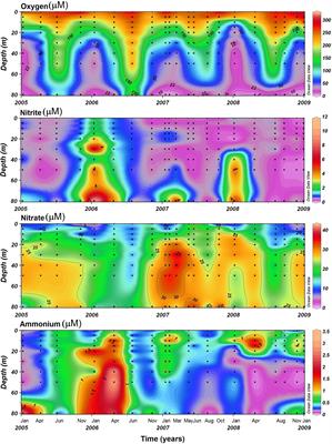 Spatiotemporal Distribution of Key Pelagic Microbes in a Seasonal Oxygen-Deficient Coastal Upwelling System of the Eastern South Pacific Ocean